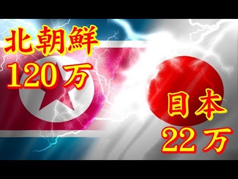 日本の自衛隊VS北朝鮮の軍隊・海外の反応width=190