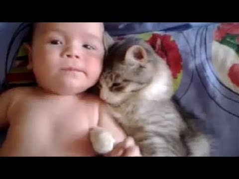 ネコが赤ちゃんを守っているwidth=190