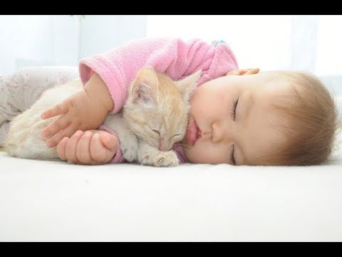 ネコと赤ちゃんに癒やされるwidth=190